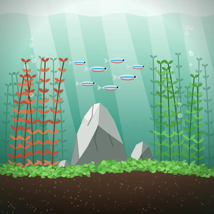 Ilustrasi aquascape dengan batu seiryu, Rotala merah, karpet tanaman, dan kawanan neon tetra